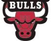 Limeport Bulls