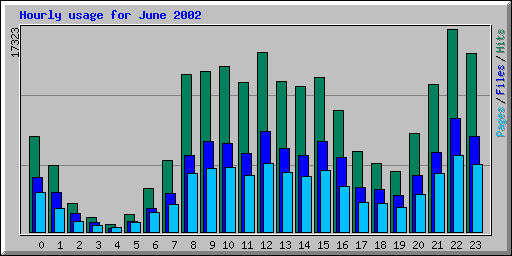 Hourly usage for June 2002